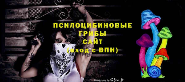 амф Алзамай