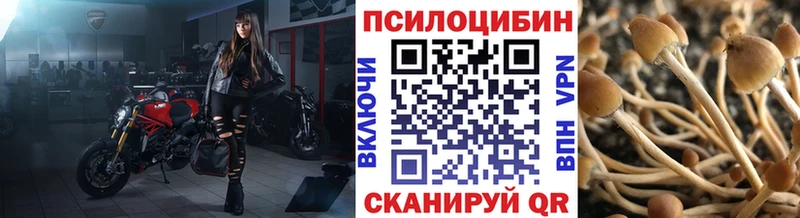 Галлюциногенные грибы мухоморы сколько стоит Старая Купавна
