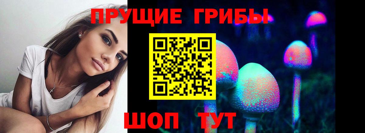 Старая Купавна  Кокаин  Вход с VPN  Меф МЯУ МЯУ кристаллы  МЕТАДОН  ГАШ  Каннабис 